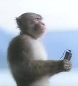 Walkman-Monkey.jpg